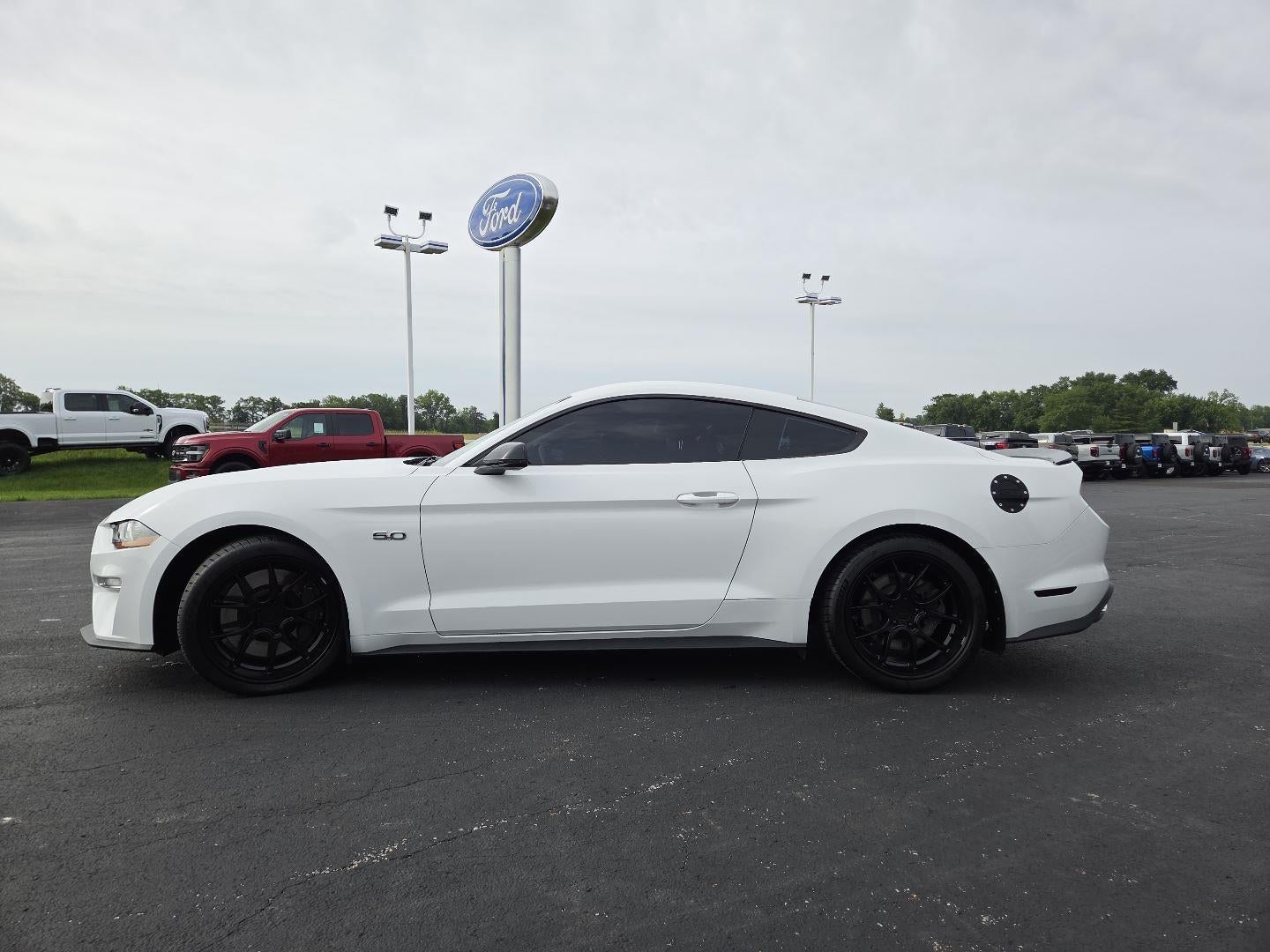 2019 Ford Mustang GT Premium