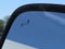 2025 Ford Transit 350 XLT