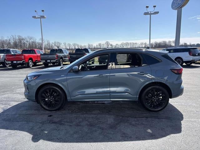 2023 Ford Escape ST-Line Elite