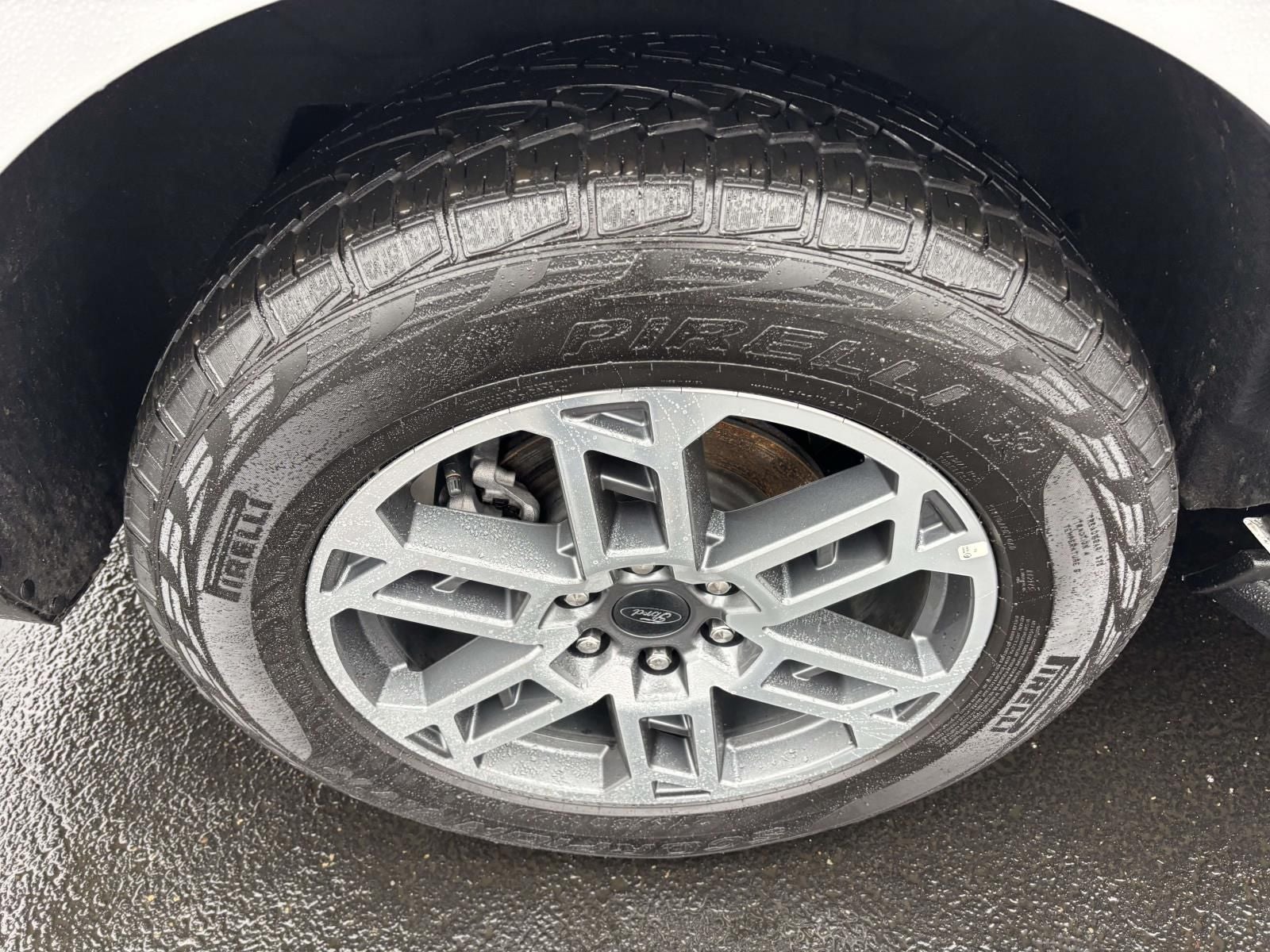 2025 Ford Expedition Active 4WD