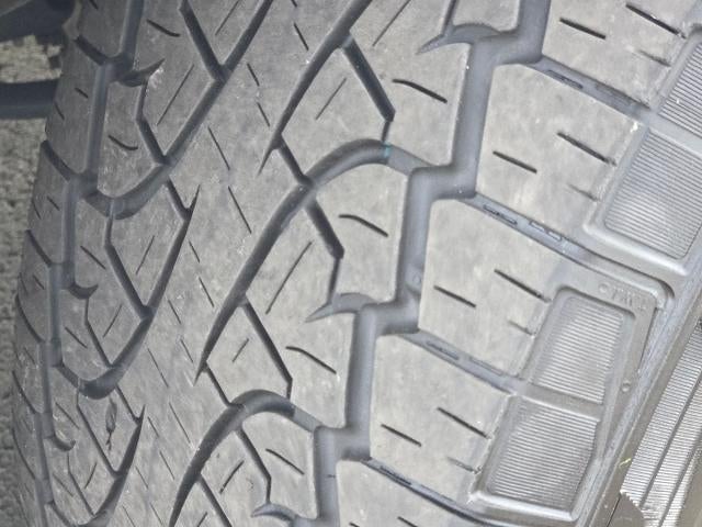 2025 Ford Expedition Active 4WD