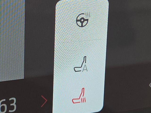 2025 Ford Expedition Active 4WD