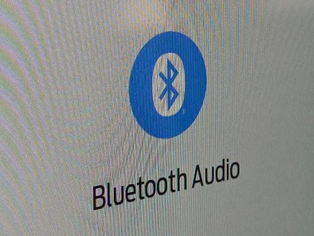 2025 Ford Expedition Active 4WD