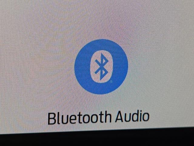 2025 Ford Expedition Active 4WD