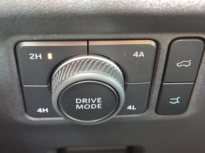 2025 Ford Expedition Platinum Ultimate 4WD