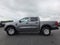 2026 Ford RANGER XL XL